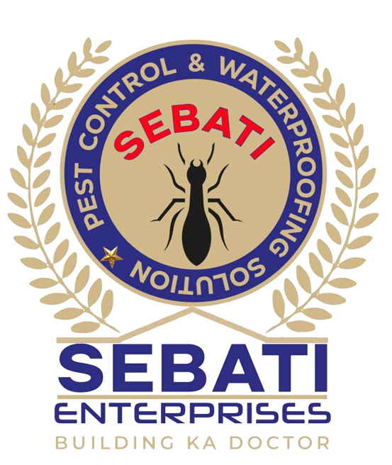 Sebati-Logo